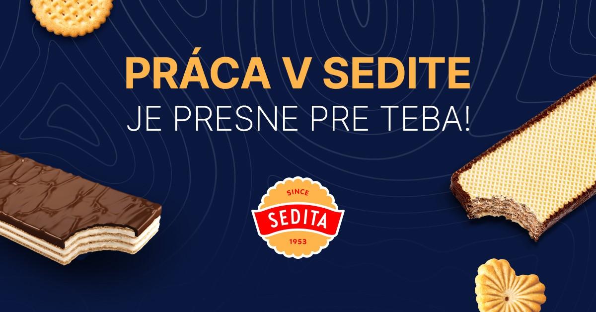 Letná brigáda pre študentov v Sedite!!!